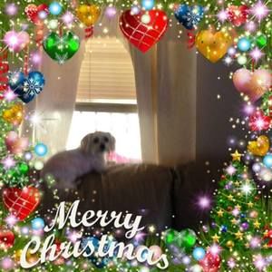 Meet your Posher, Eva